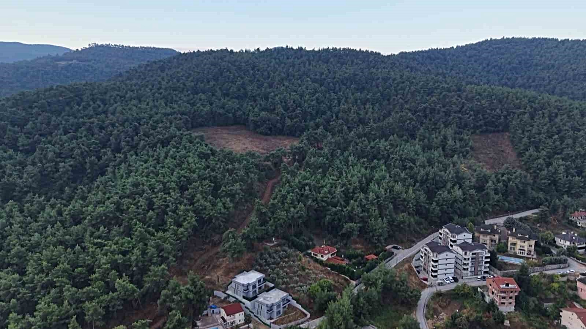 Bursa Çalı’da Ayı Alarmı: Muhtar Mahallesi İçin Devrede